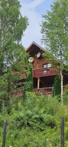 a wooden house with trees and bushes in front of it at Deep Forest 1 in Berkhomet-pe-Siret