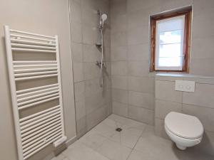 ein Badezimmer mit Toilette und Dusche in der Unterkunft Superbe chalet duplex 3* avec prestations hôtelières, pied de pistes, parking, wifi - FR-1-356-378 in Les Avanchers + 16 Fotos