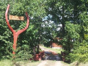 a red dinosaur sign in the middle of a road at Rīta vēji in Dagda