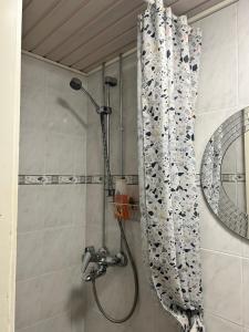 トゥルクにあるAtmospheric stone house 1927 near the Aura Riverのバスルーム(シャワー、シャワーカーテン付) +8枚の写真