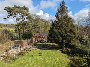 a garden with a tree and a fence at Fig Tree Cottage - Corfe Castle in Corfe Castle +2 photos