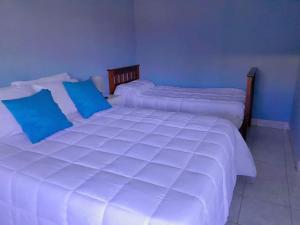 two beds with blue pillows in a bedroom at LOS RULITOS Departamentos Temporarios in San Salvador de Jujuy
