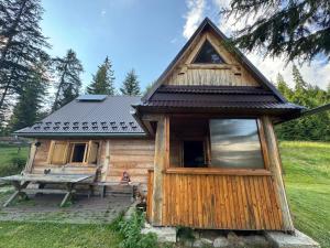 a small wooden cabin with a pitched roof at Terenowka Bacowka in Waksmund