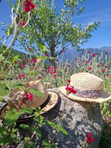 a straw hat sitting on a rock with flowers at Gite La Grangette de Pauline in Mercus-Garrabet
