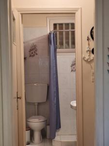 a bathroom with a toilet and a blue shower curtain at Ocean View Villa in Animborió +15 photos
