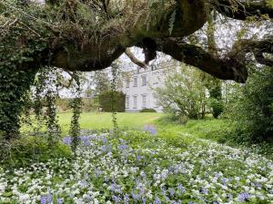 a field of flowers in front of a house at Lismacue House in Bansha