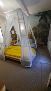 a bedroom with a bed with a canopy at CHAMBRES DE L'ORATOIRE-climatisées, Impasse calme, lumineuse, centre ville, Pézenas in Pézenas