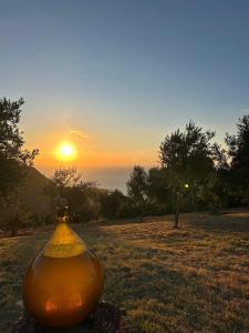 a vase sitting on the grass with the sunset in the background at David in Cefalù
