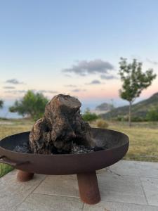 a rock sitting in a bowl on a table at David in Cefalù