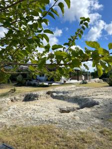 a view of a park with rocks in the grass at David in Cefalù