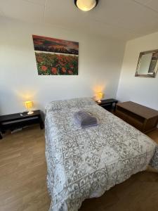 Postel nebo postele na pokoji v ubytování Canigou 69 by CONFORTSKY
