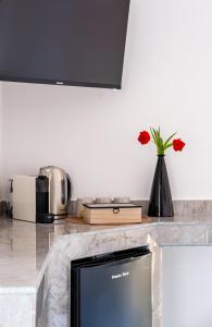 a computer monitor on a counter in a kitchen at Actus Palace Rooms by Ghor in Rome