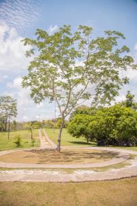 Foto dalla galleria di Amaranthus Renaissance a Doradal