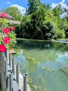 a pool of water next to a fence with flowers at La maison au bord de la riviére in Loches