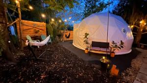 Vườn quanh Camp Stella
