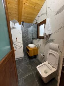 a bathroom with a toilet and a shower and a sink at Bujtina Lindi in Rrogam