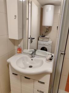 Bilik mandi di Apartma Lastovka