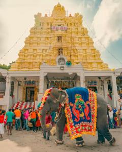 Fotografie z fotogalerie ubytování Rudra - 2 BHK Appartments - near Rameswaram Temple v destinaci Rāmeswaram