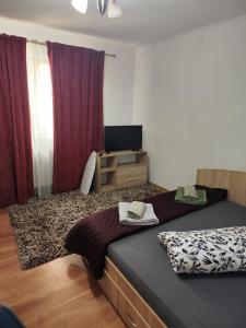 Imagen de la galería de Tonya House 2, en Timisoara