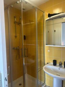 a bathroom with a shower and a sink at Sweet'Nest Dinard - Le Charme Breton in Dinard +32 photos