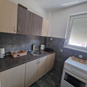Köök või kööginurk majutusasutuses River Apartment