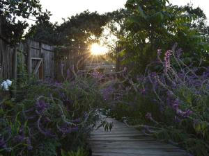 a path through a garden with purple flowers at Ginger Lake Wilderness in Wilderness