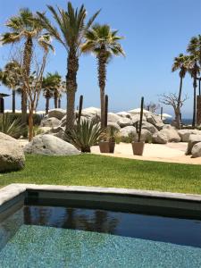 basen w ogrodzie z palmami w obiekcie Three Bedroom Villa - Waldorf Astoria Los Cabos Pedregal w mieście Cabo San Lucas
