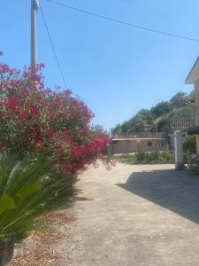 a garden with red flowers and a building in the background at Casa del mare in Cupra Marittima