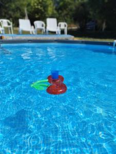 Φωτογραφία από το άλμπουμ του House&mini-Camp SKELICA σε Neštin