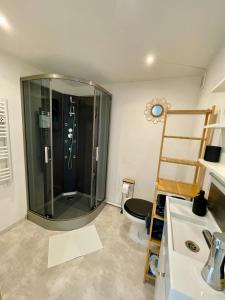 a bathroom with a shower and a sink and a toilet at Charmant appartement en rez-de-chaussée in Montbéliard