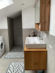 a bathroom with a sink and a washing machine at Sonnenaufgang in Rottau +32 photos