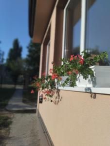 Φωτογραφία από το άλμπουμ του House&mini-Camp SKELICA σε Neštin +17 φωτογραφίες