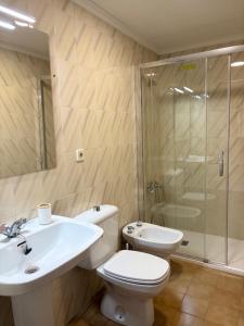 a bathroom with a toilet and a sink and a shower at Cardenal Centro in Monforte de Lemos +15 photos