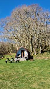 a tent in the middle of a field with a picnic table at Dinas in Llanbedr