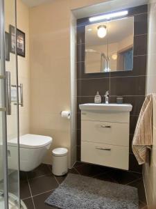 a bathroom with a sink and a toilet and a shower at Hidden Hideaway in Razvala