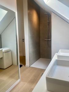 a bathroom with a shower and a white sink at Hoeve DeKleinheide - De Hoeve in Dessel +50 photos
