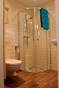 a bathroom with a glass shower with a toilet at Vakantiewoning Hegga in Hegelsom