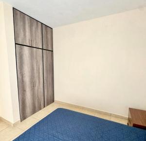a room with a blue carpet and a closet at JUCAR Place in Villa Hidalgo