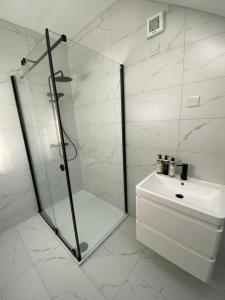 une salle de bain avec une douche en verre et un lavabo dans l'établissement The Cottage Gortfad, à Garvagh