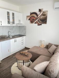 a living room with a couch and a table at Mića Apartment in Veliko Gradište +7 photos