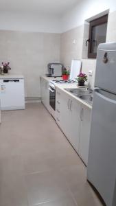 a white kitchen with a sink and a refrigerator at Casa Corbeanu Transfagarasan in Bucşeneşti +9 photos