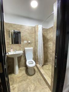 a bathroom with a toilet and a sink at Casa Corbeanu Transfagarasan in Bucşeneşti