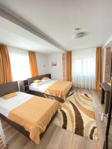 a hotel room with two beds and a television at Casa Corbeanu Transfagarasan in Bucşeneşti