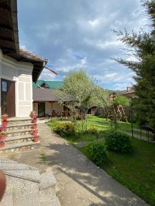 a house with a yard with a playground at Casa Corbeanu Transfagarasan in Bucşeneşti