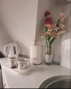 Kaffi- og teaðstaða á Apartman Sofija Divcibare