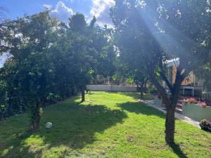 a green yard with trees and a building at Pelion Malaki- Casa Verde in Malaki