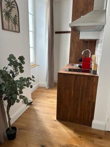 a kitchen with a sink and a potted plant at Quai 44 in Cognac +11 photos