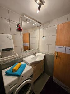 a bathroom with a washing machine and a sink at Give Peace a Chance - 10 km from Sarajevo City Center in Petrovići +30 photos