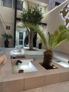 a lobby with a palm tree in a building at Apart hotel in Neuquén +122 photos