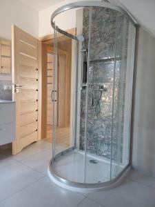 a shower with a glass door in a bathroom at Willa Przygoda in Żukowo +81 photos
